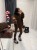 b637eff6-2104-4813-a2d3-80ea565b55cf.JPG